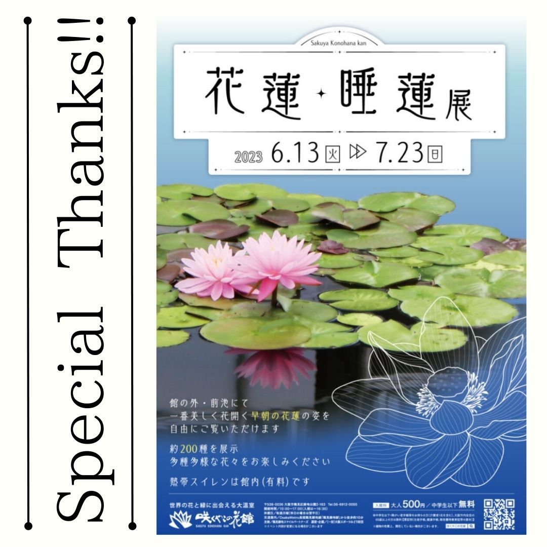 蓮のアート展示 – botanical leaf art